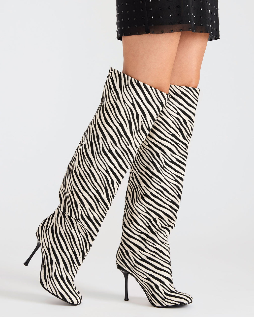 ALLURING ZEBRA